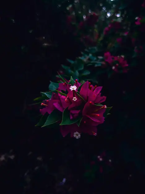Kompozim Dark Forest me gjethe të gjelbra të thella